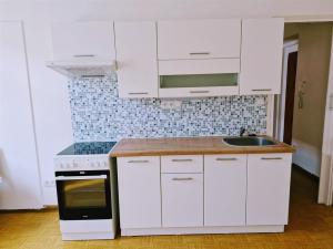 Pronájem bytu 1+1, Ústí nad Labem - Střekov, Kozinova, 45 m2