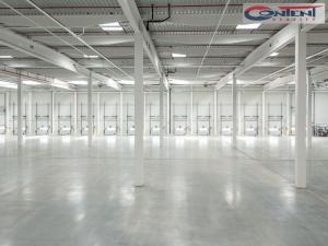 Pronájem skladu, Ostrava - Vítkovice, 16000 m2