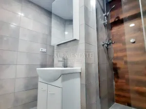 Pronájem bytu 2+1, Karlovy Vary - Stará Role, Fibichova, 63 m2