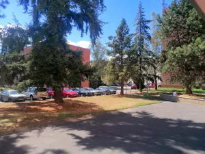 Pronájem bytu 2+1, Karlovy Vary - Stará Role, Fibichova, 63 m2