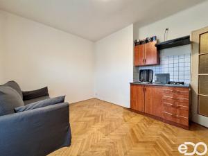 Pronájem bytu 1+kk, Praha, Na bitevní pláni, 25 m2
