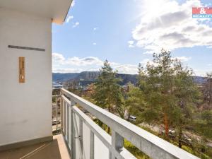 Prodej bytu 2+1, Ústí nad Labem - Ústí nad Labem-centrum, SNP, 62 m2