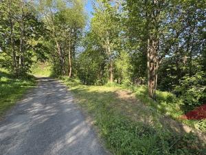 Prodej louky, Sušice, 10572 m2