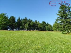 Prodej pozemku pro bydlení, Kořenov - Příchovice, 1250 m2