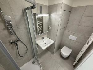 Pronájem bytu 1+kk, Brno, Křenová, 61 m2