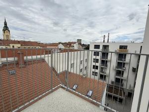 Pronájem bytu 1+kk, Brno, Křenová, 61 m2