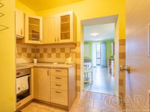 Prodej bytu 1+kk, Praha - Točná, náměstí Antonína Pecáka, 29 m2