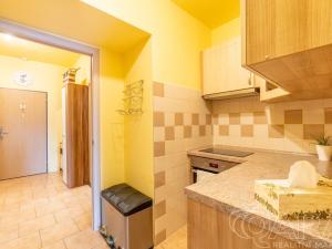 Prodej bytu 1+kk, Praha - Točná, náměstí Antonína Pecáka, 29 m2