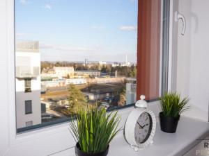 Pronájem bytu 2+kk, Olomouc, Eduarda Hamburgera, 59 m2