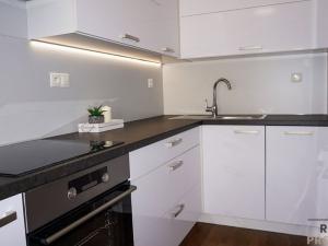 Pronájem bytu 2+kk, Olomouc, Eduarda Hamburgera, 59 m2