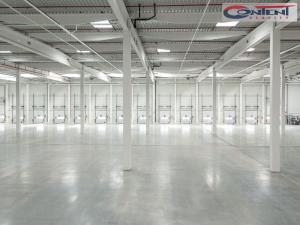 Pronájem skladu, Ostrava - Vítkovice, Halasova, 29022 m2