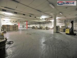 Pronájem skladu, Most - Velebudice, Obchodní, 1000 m2