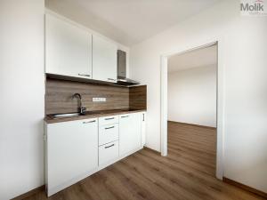 Pronájem bytu 1+1, Litvínov - Horní Litvínov, Valdštejnská, 34 m2