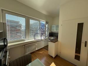 Pronájem bytu 1+1, Brno - Staré Brno, Nové sady, 46 m2