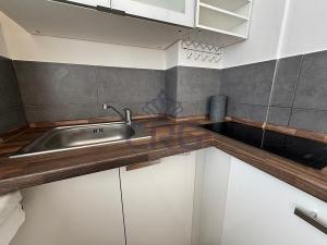 Pronájem bytu 1+1, Brno - Staré Brno, Nové sady, 46 m2