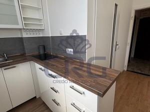 Pronájem bytu 1+1, Brno - Staré Brno, Nové sady, 46 m2