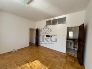 Pronájem bytu 1+1, Brno - Staré Brno, Nové sady, 46 m2