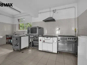 Prodej ubytování, Vysoká Srbská, 900 m2