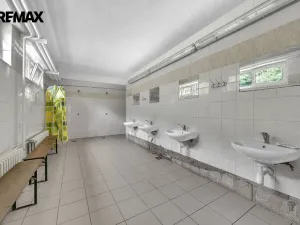 Prodej ubytování, Vysoká Srbská, 900 m2