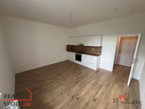 Prodej bytu 1+kk, Ostrava - Přívoz, Palackého, 27 m2