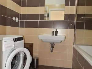 Prodej bytu 2+kk, Brno, Řípská, 65 m2