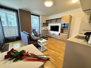 Pronájem bytu 2+kk, Praha - Žižkov, Pitterova, 45 m2