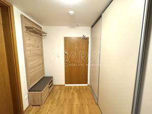 Pronájem bytu 2+kk, Praha - Žižkov, Pitterova, 45 m2