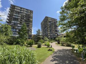 Pronájem bytu 2+kk, Praha - Žižkov, Pitterova, 45 m2