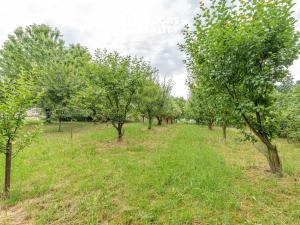 Prodej zahrady, Lanškroun - Dolní Třešňovec, 820 m2