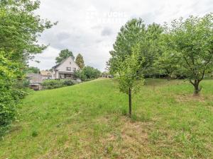 Prodej zahrady, Lanškroun - Dolní Třešňovec, 820 m2