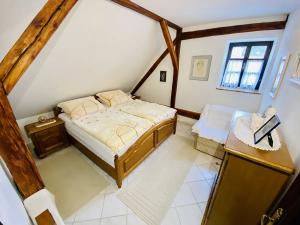 Prodej vinného sklepa, Mikulov, Na Jámě, 560 m2