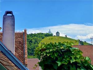 Prodej domu, Mikulov, Na Jámě, 560 m2