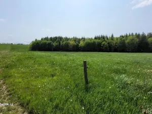 Prodej louky, Moravský Beroun - Čabová, 2247 m2
