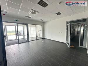 Pronájem skladu, Přestanov, 4262 m2