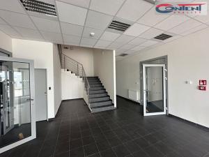 Pronájem skladu, Přestanov, 4262 m2