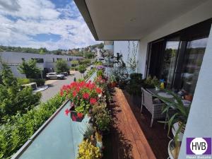 Prodej bytu 2+kk, Praha, Kloudova, 58 m2