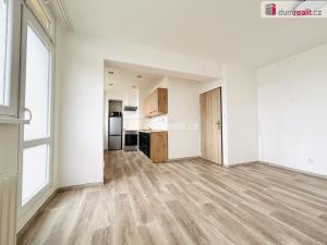 Pronájem bytu 1+kk, Zruč nad Sázavou, Na Výsluní, 31 m2