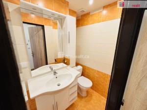 Pronájem bytu 1+kk, Zruč nad Sázavou, Na Výsluní, 31 m2