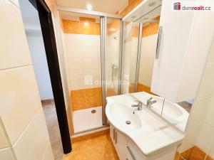 Pronájem bytu 1+kk, Zruč nad Sázavou, Na Výsluní, 31 m2