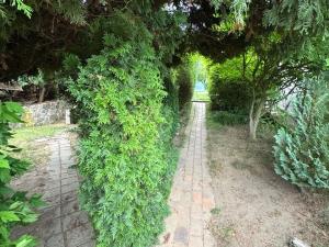 Prodej chaty, Sadov, 15 m2