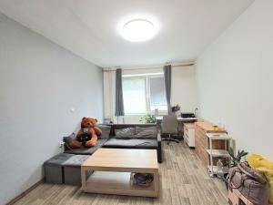 Pronájem bytu 2+1, Velké Opatovice, Polní, 54 m2