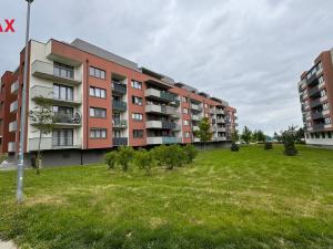 Pronájem bytu 2+kk, Olomouc, Aloise Rašína, 68 m2
