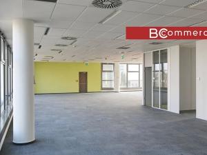 Pronájem kanceláře, Brno, 600 m2