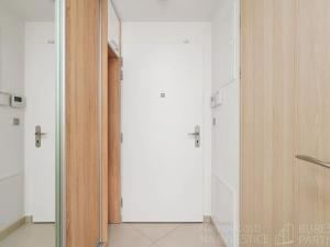 Pronájem bytu 1+kk, Praha - Vysočany, Bassova, 28 m2