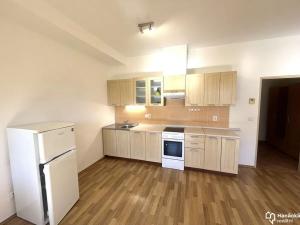 Pronájem bytu 1+kk, Olomouc, Fischerova, 37 m2
