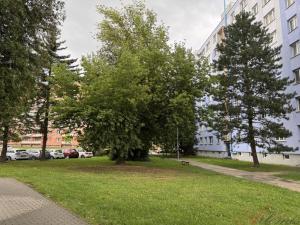 Prodej bytu 2+kk, Studénka - Butovice, A. Dvořáka, 59 m2