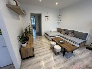 Prodej bytu 2+kk, Studénka - Butovice, A. Dvořáka, 59 m2