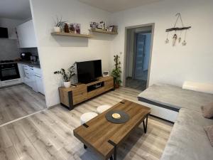 Prodej bytu 2+kk, Studénka - Butovice, A. Dvořáka, 59 m2