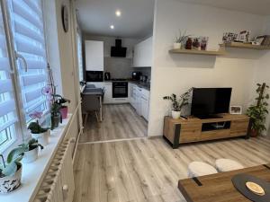 Prodej bytu 2+kk, Studénka - Butovice, A. Dvořáka, 59 m2