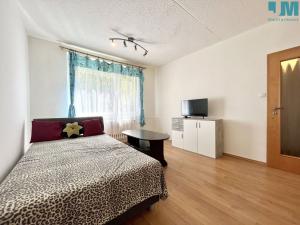 Pronájem bytu 1+1, Třebíč, Obránců míru, 32 m2